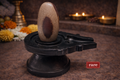 Rare Tilak Mark Narmadeshwar Shivling (5 Inch) – Symbol of Divine Focus, Blessings & Spiritual Alignment